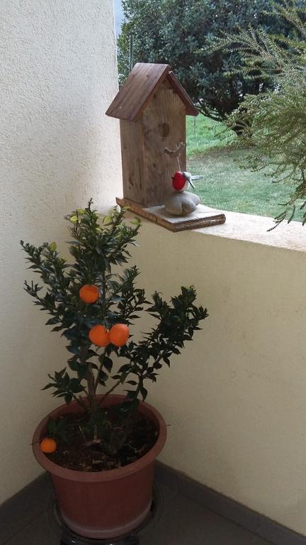 B&B Il Vigneto Melano Exterior photo